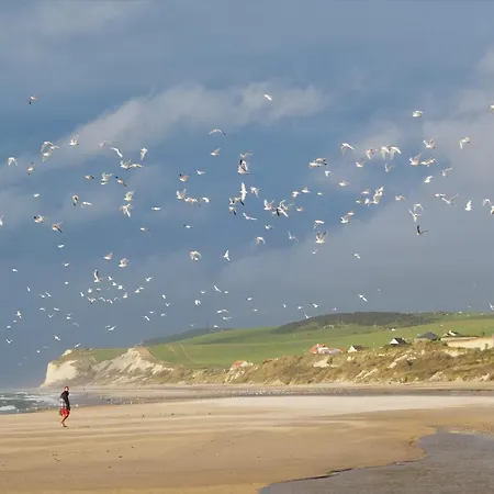 Mousse à Au Premier étage à 50 Metres De La *