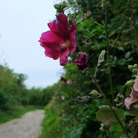 Mousse à Au Premier étage à 50 Metres De La Sangatte