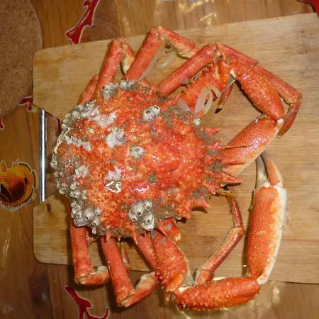 Mousse 3 Pers A Au 1e Etage A 50 Metres De La * Sangatte