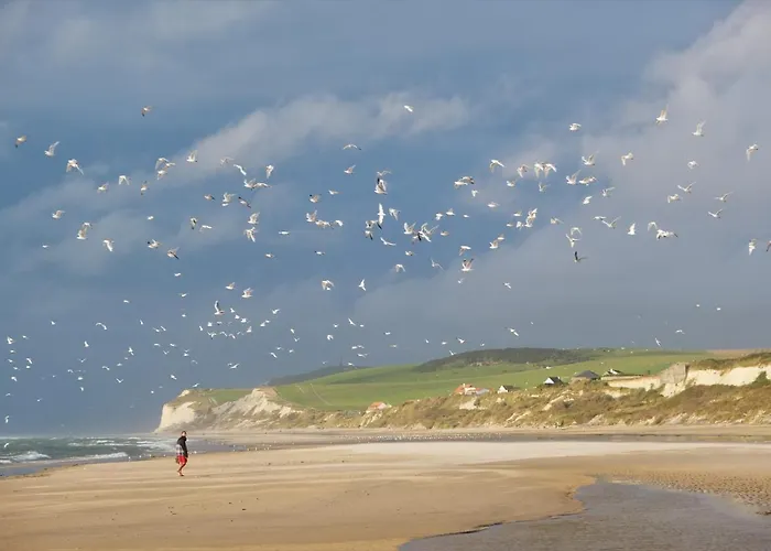 Mousse 3 Pers A Au 1e Etage A 50 Metres De La Plage, Special Wing & Kite *