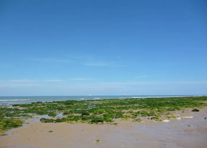 Mousse 3 Pers A Au 1e Etage A 50 Metres De La Plage, Special Wing & Kite דירה *
