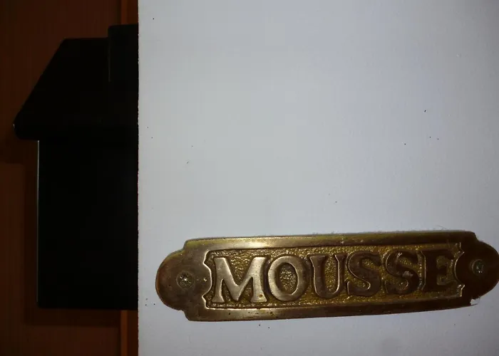 Mousse 3 Pers A Au 1e Etage A 50 Metres De La Plage, Special Wing & Kite *
